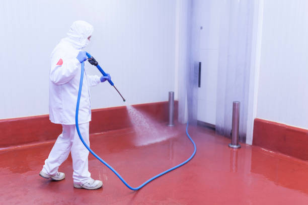 Best Playground Equipment Cleaning  in Boaz, AL